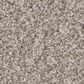 Shaw Tweed Comfort II Carpet in Mellow, , large