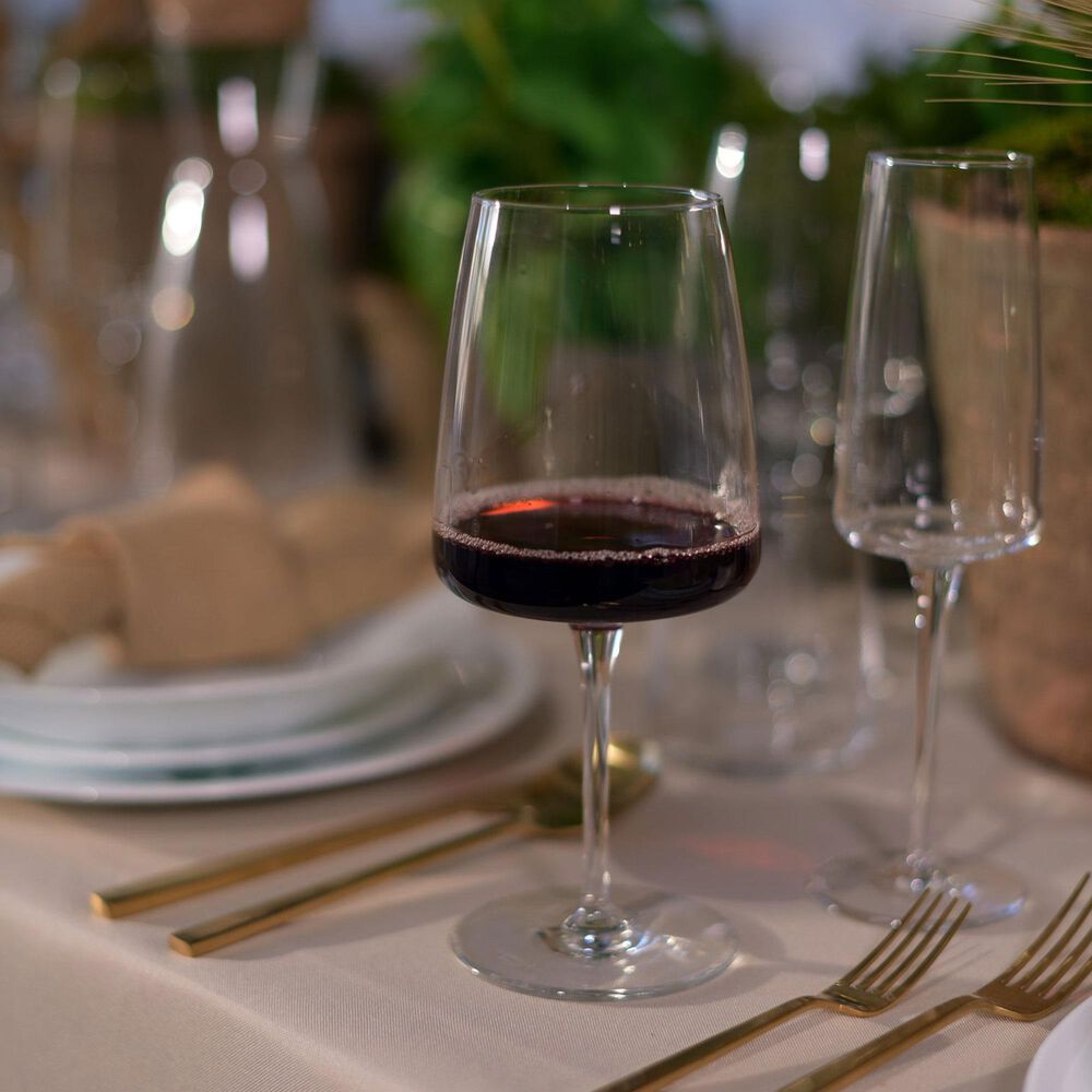 Bormioli Planeo Red Wine Glasses in Clear &#40;Set of 4&#41;, , large