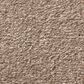 Shaw Simply the Best Montage II Carpet in Hidden Treasure, , large