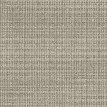 Anderson Tuftex Radiance Carpet in Sagebrush, , large