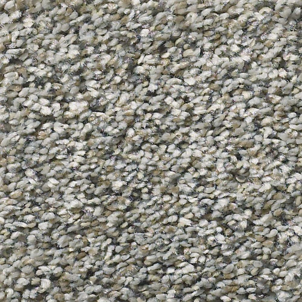 Shaw Simply the Best All Set I Carpet in Rhino, , large