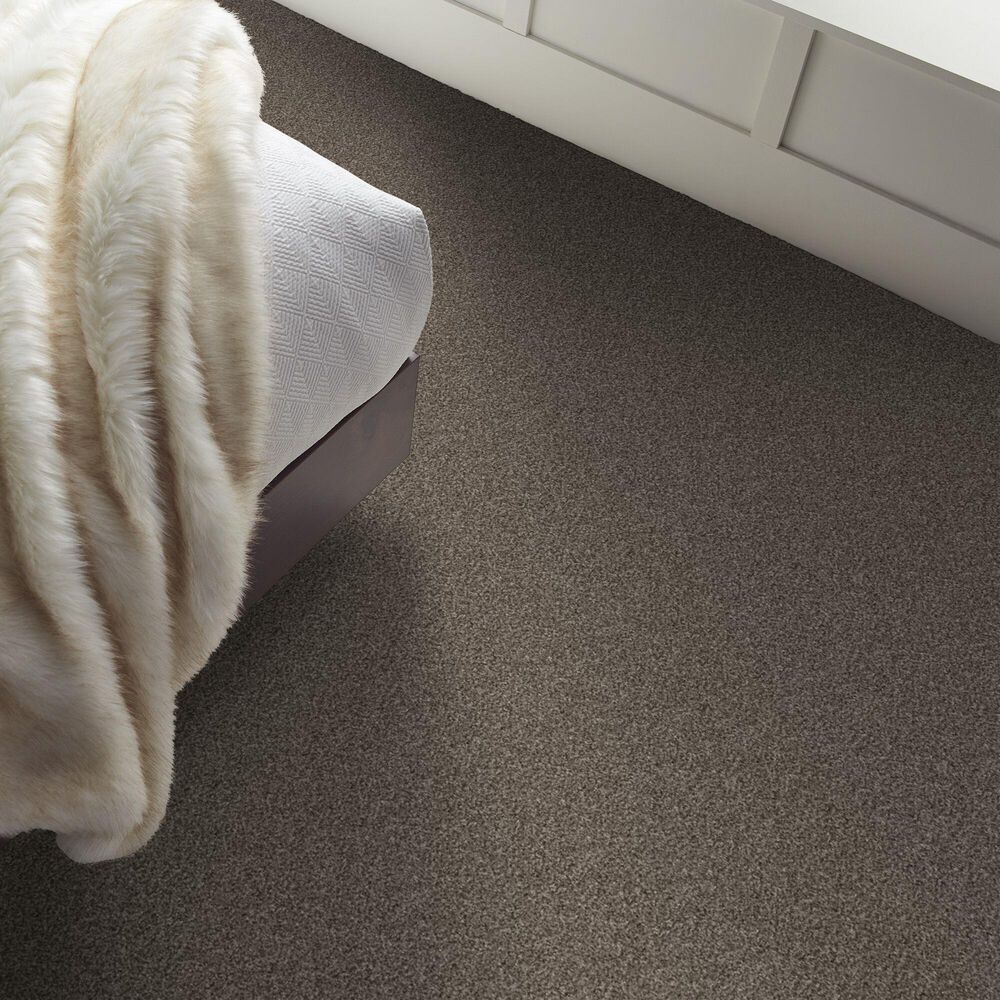 Shaw Yes You Can II Carpet in Urban Rustic, , large