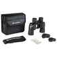 Celestron Ultima 10x42 Porro Binocular, , large