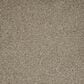 Dream Weaver Astounding III Carpet in Wishing Well, , large