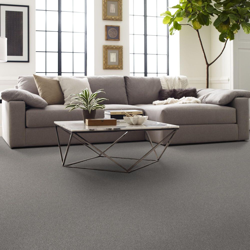 Shaw Live on Comfort Carpet in Spotlight, , large