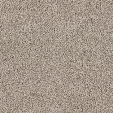 Dixie Home Big Splash Carpet in Sandpiper, , large