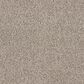 Dixie Home Big Splash Carpet in Sandpiper, , large