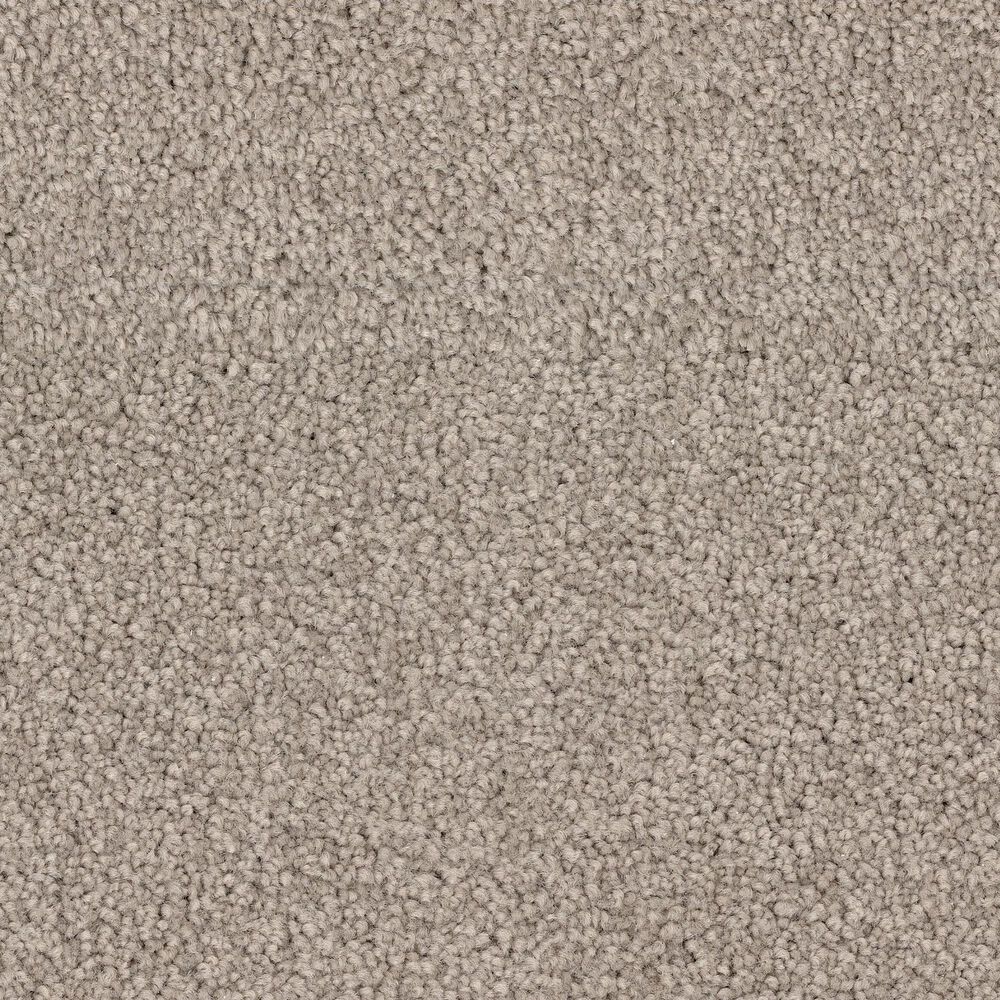 Dixie Home Big Splash Carpet in Sandpiper, , large