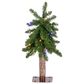 The Gerson Company 2" Alpine Pre-Lit Artificial Christmas Tree in Green, , large