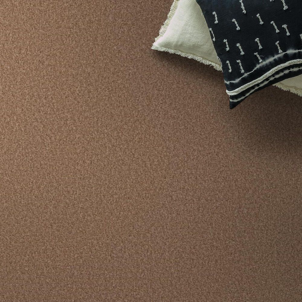 Shaw Tonal Comfort I Carpet in Terracotta Pot, , large