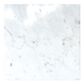 MS International Marble Carrara White 18" x 18" Polished Natural Stone Tile, , large