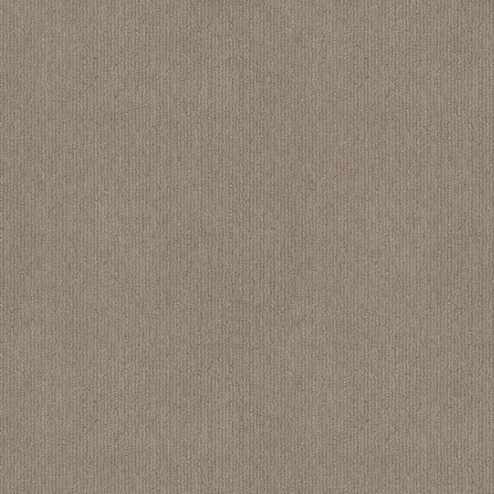 Shaw Cedar City Carpet in Park Avenue, , large