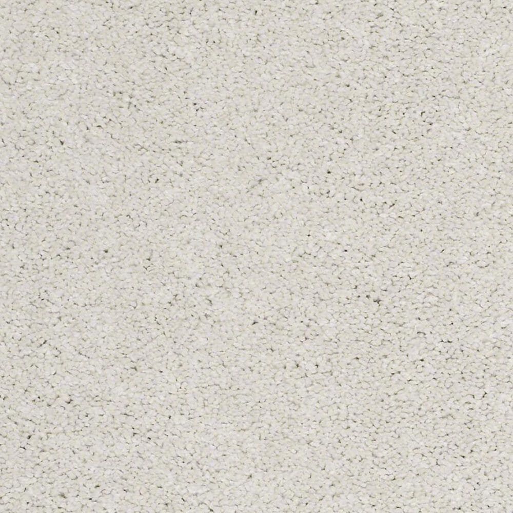 Anderson Tuftex Barracan Classic I Carpet in Suffolk, , large