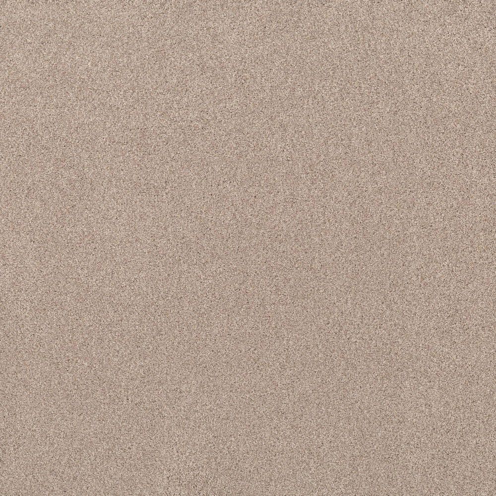 Shaw Live On Comfort Carpet in Palm Desert, , large