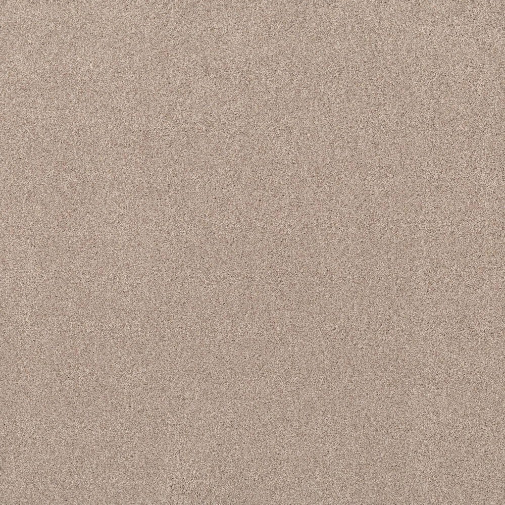 Shaw Live On Comfort Carpet in Palm Desert, , large