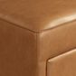 Lifestyle Solutions Hailey Storage Ottoman in Camel, , large