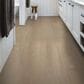 Shaw Vinyl Tile Ascent Natural Bevel Escape 9" x 72" Vinyl Plank, , large