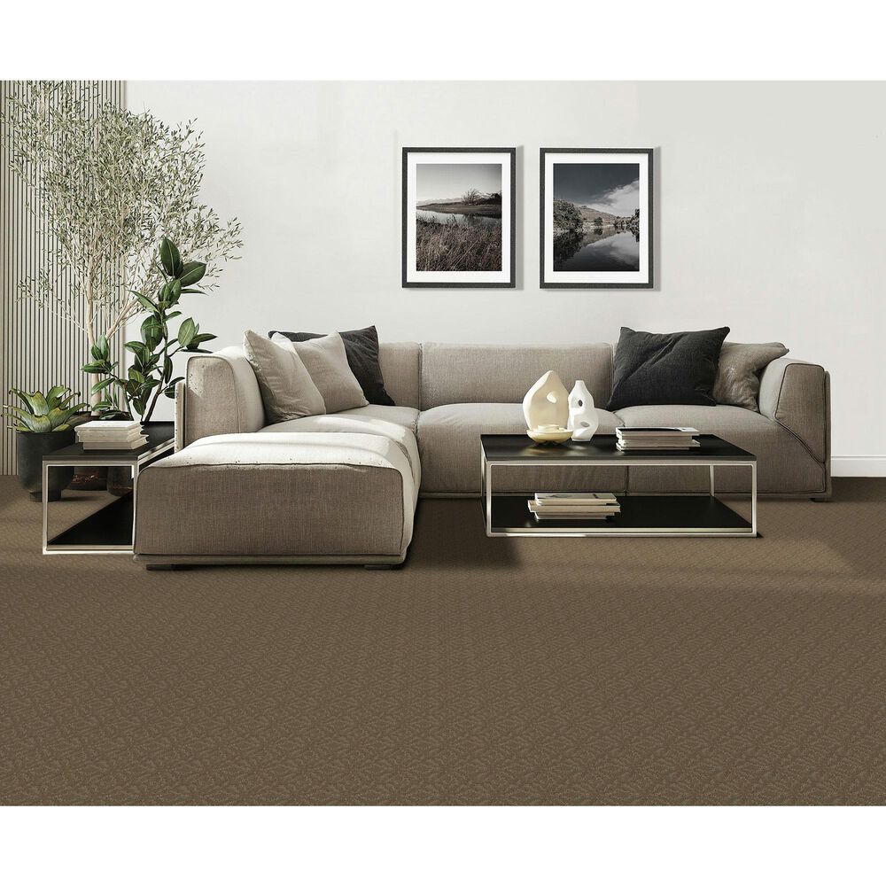 Mohawk Exquisite Charm Carpet in Clay Trail, , large