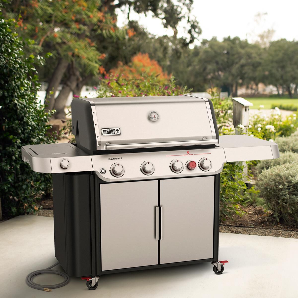 Weber s435 cheap