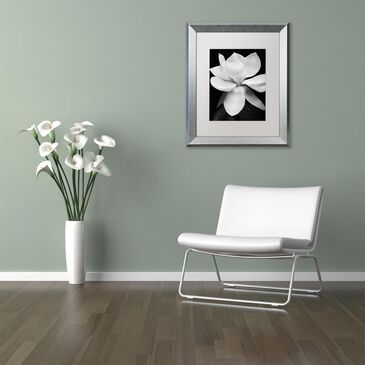 Timberlake 20" x 16" Magnolia Art in White Matting and Silver Frame, , large