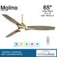 Minka-Aire Molino 65" Indoor/Outdoor Ceiling Fan with LED Light in Soft Brass, , large