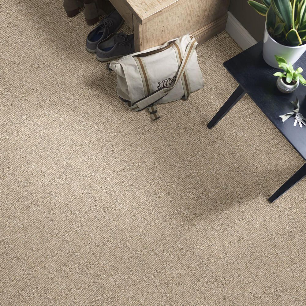 Anderson Tuftex Loredo Carpet in Coastal Home, , large