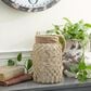 Maple and Jade 12" Decorative Indoor/Outdoor Candle Lantern with Rope Handle in Clear and Brown, , large