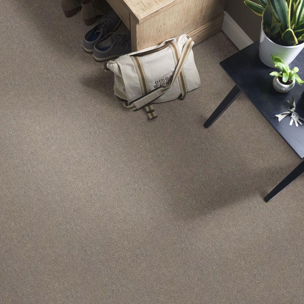 Shaw Simply the Best Attainable Carpet in Smooth Taupe, , large