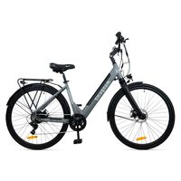 Magnum Cosmo Electric Bike in Metallic Grey