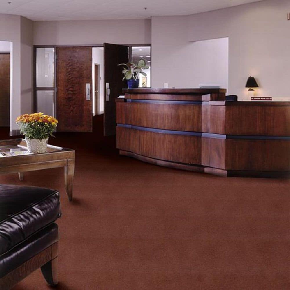 Shaw Emphatic II 36 Carpet in Hazelnut, , large