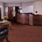 Shaw Emphatic II 36 Carpet in Hazelnut, , large