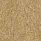 Shaw Hard At Play II Carpet in Honeycomb, , large