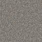 Phenix Sparta Carpet in Noteworthy, , large