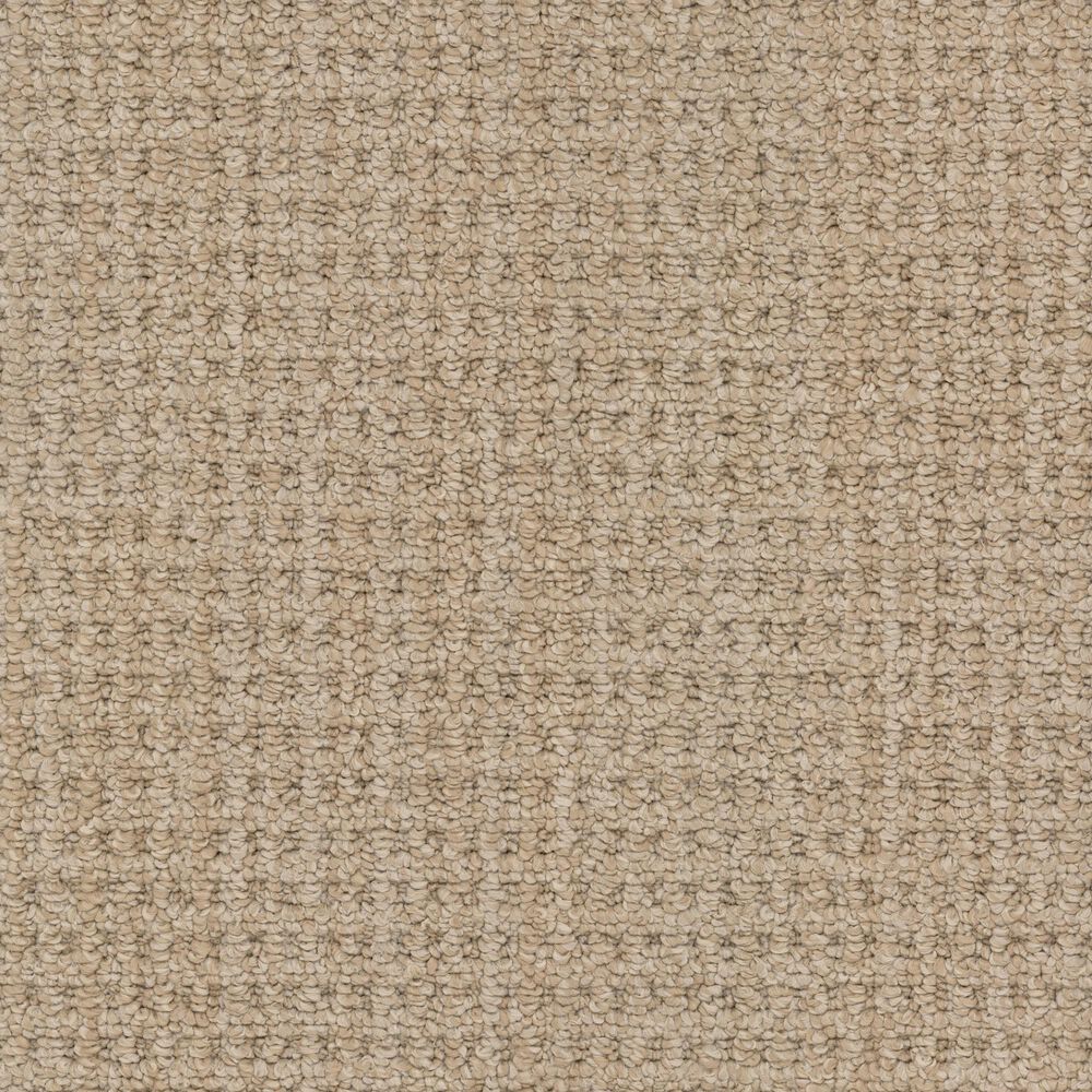 Masland Take It Easy Carpet in Fay Canyon, , large