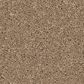 Anderson Tuftex Enduring Charm Carpet in Biscotti, , large