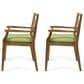 Hearth and Haven Perla Outdoor Dining Chair in Green (Set of 2), , large