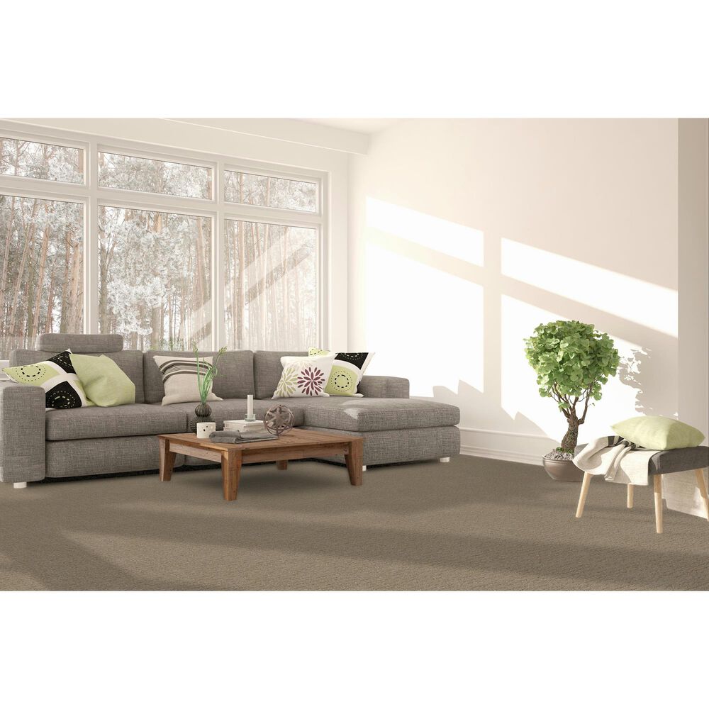 Dream Weaver Natural Attraction Carpet in Light Wheat, , large