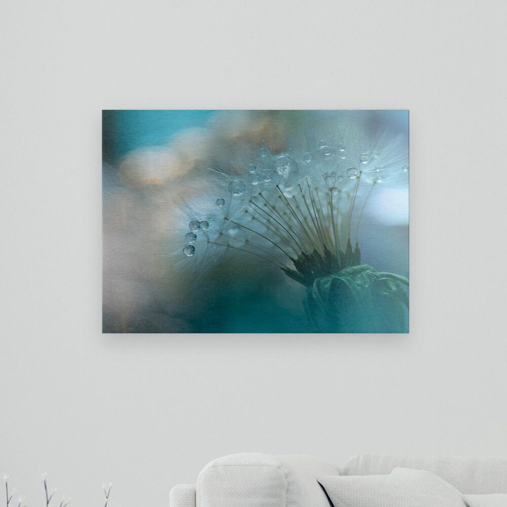 Juliana Nan "Drops On A Flower" 16" x 22" Floating Brushed Aluminum Art, , large