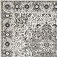 Safavieh Skyler SKY126K 4" x 6" Gray and Ivory Area Rug, , large