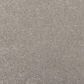 Mohawk Luxuriant Life Carpet in Destiny, , large