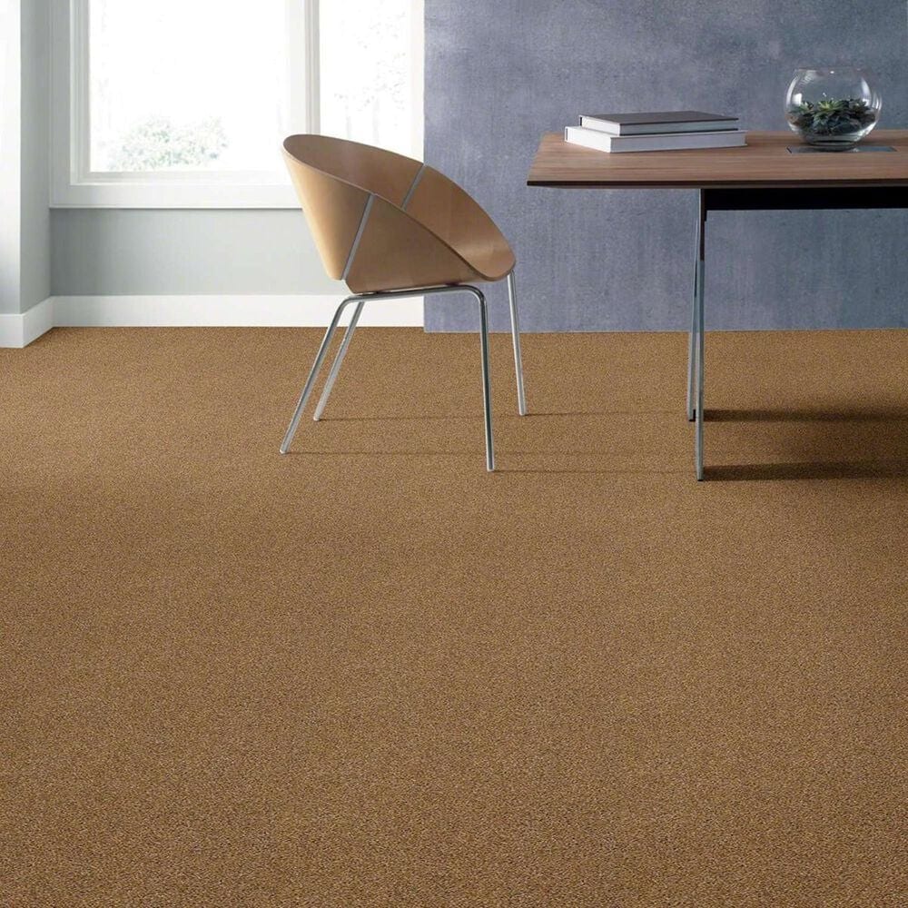 Shaw Acadia Park Carpet in Saddle, , large
