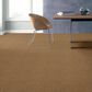 Shaw Acadia Park Carpet in Saddle, , large