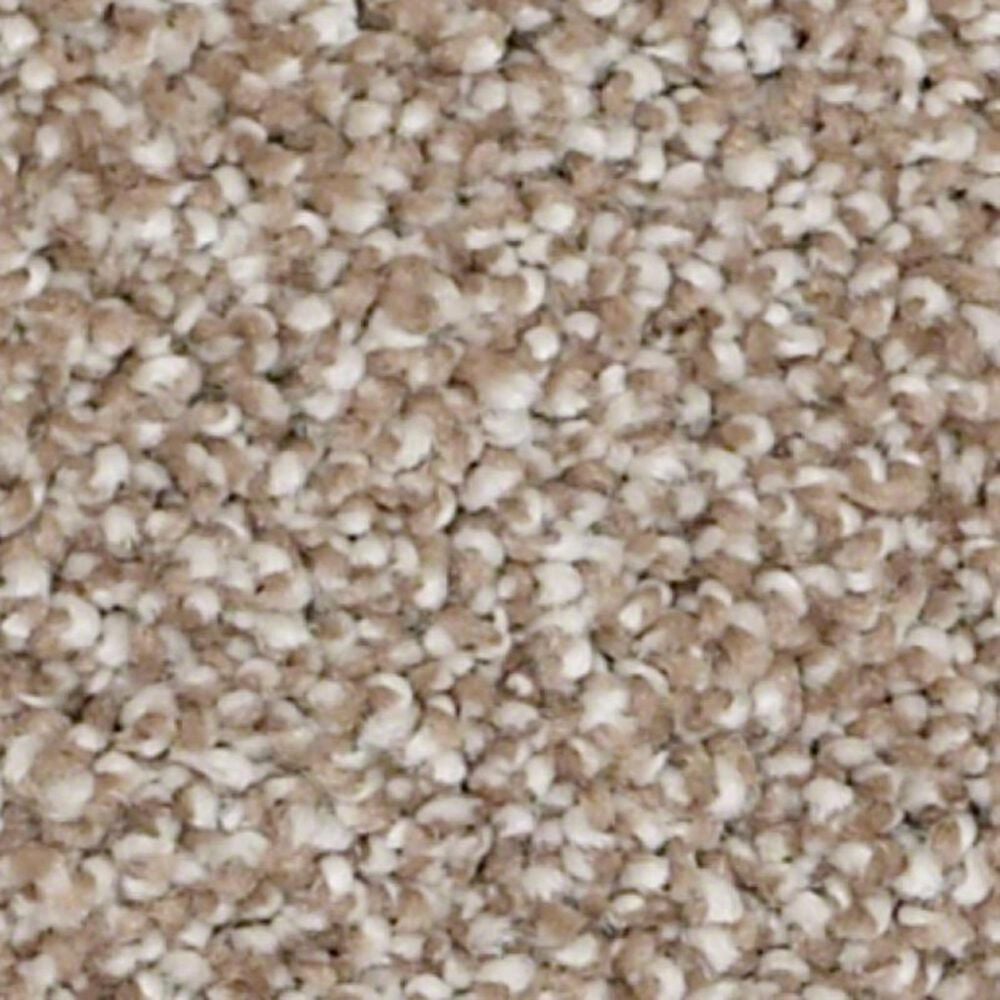 Shaw Always Ready II Carpet in Summerville, , large