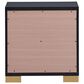 Pacific Landing Marceline 2-Drawer Nightstand in Black, , large