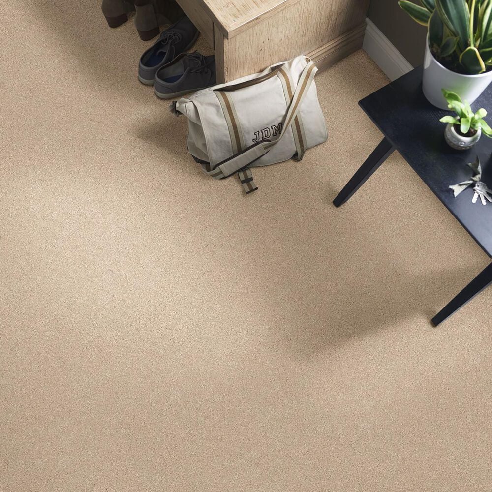 Shaw Find Your Comfort NS II Carpet in Walk on The Beach, , large