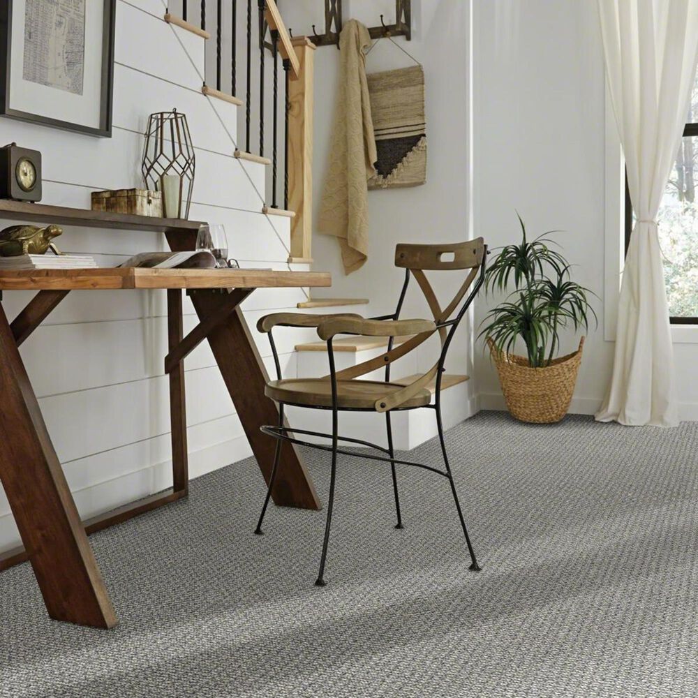 Anderson Tuftex Fetch Carpet in Monument, , large