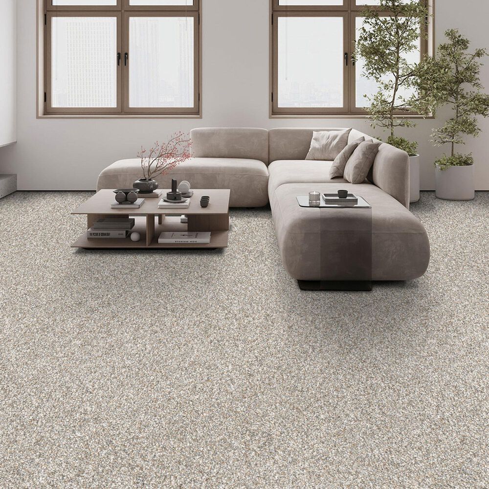 Dream Weaver Affinity II Carpet in Sparrow, , large