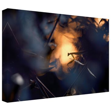 Timberlake Wormhole Distortion 12" x 19" Canvas Art in Black/Blue/Brown, , large
