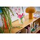 LEGO Botanicals Cosmos Flowers Building Set, , large