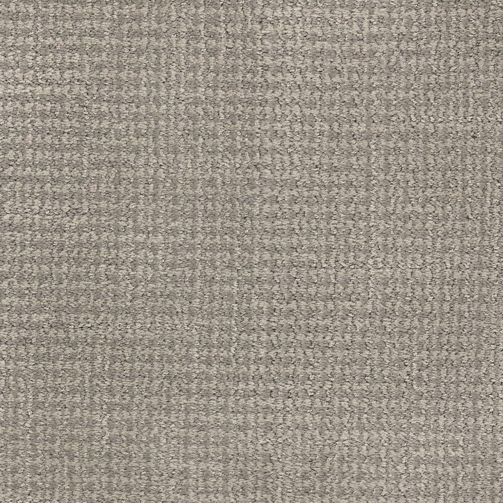 Dixie Home Feline Carpet in Salem, , large